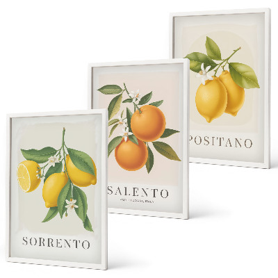 Three-piece wall art piece Amalfi lemons and oranges