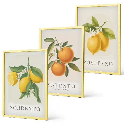 Amalfi lemons and oranges wall art three-piece set