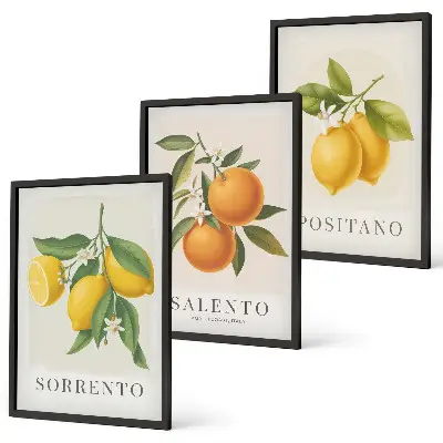 Amalfi lemons and oranges wall art three-piece set