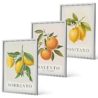 Three-piece wall art piece Amalfi lemons and oranges