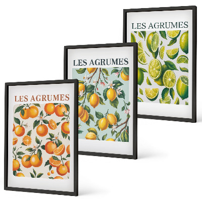 Three-piece wall art piece Fruity citrus pastel patterns