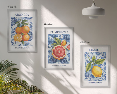 Wall art set Citrus Fruit Vintage Illustrations