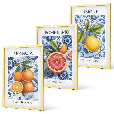 Wall art set Citrus Fruit Vintage Illustrations
