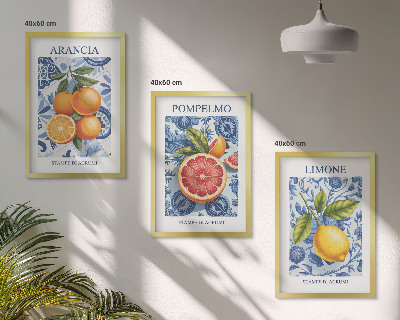 Wall art set Citrus Fruit Vintage Illustrations