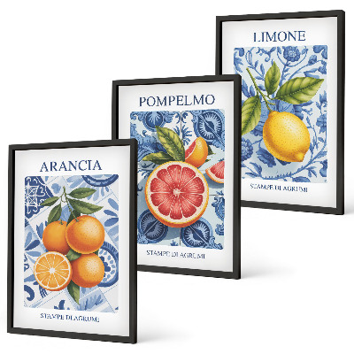 Wall art set Citrus Fruit Vintage Illustrations