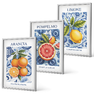 Wall art set Citrus Fruit Vintage Illustrations