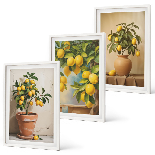 Set of 3 framed wall art pieces Lemon trees in a pot and a vase