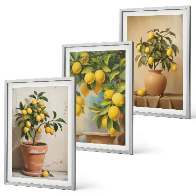 Lemon tree potted and vase wall art set of 3 framed pieces