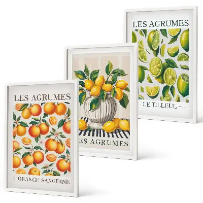 Citrus fruits wall art set colorful decorative collection