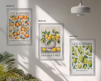 Wall art set Citrus fruits in colorful versions