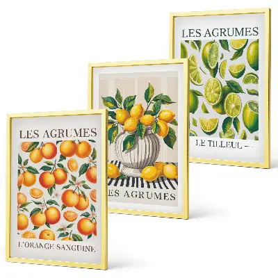 Citrus fruits wall art set colorful decorative collection