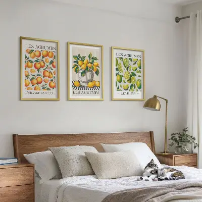 Citrus fruits wall art set colorful decorative collection