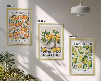 Wall art set Citrus fruits in colorful versions