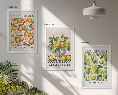 Citrus fruits wall art set colorful decorative collection