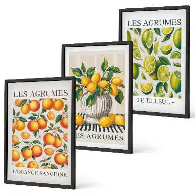 Citrus fruits wall art set colorful decorative collection