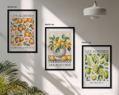 Wall art set Citrus fruits in colorful versions