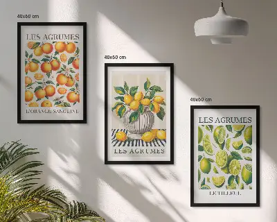 Citrus fruits wall art set colorful decorative collection