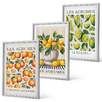 Wall art set Citrus fruits in colorful versions
