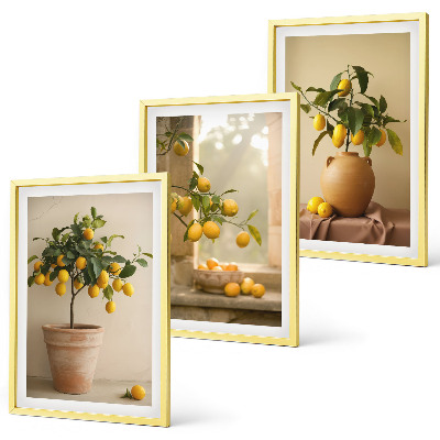 Three-piece wall art piece Lemon trees in pots
