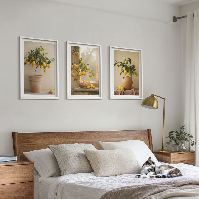 Three-piece wall art piece Lemon trees in pots