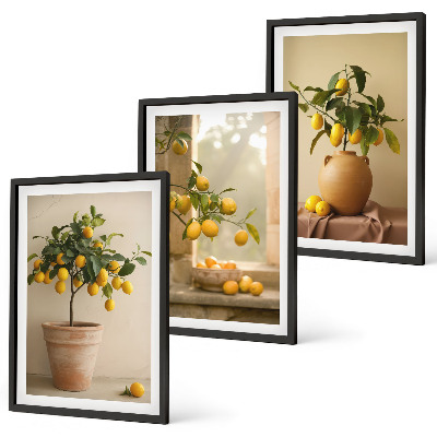 Three-piece wall art piece Lemon trees in pots