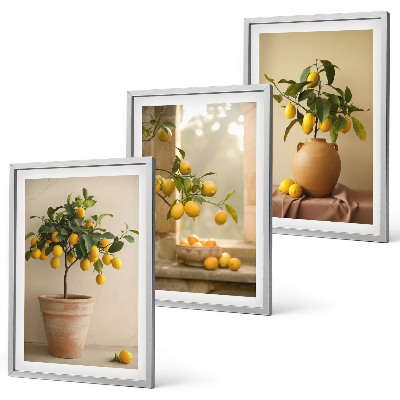 Three-piece wall art piece Lemon trees in pots