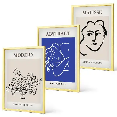 Three-piece modern Matisse wall art set modern poster prints