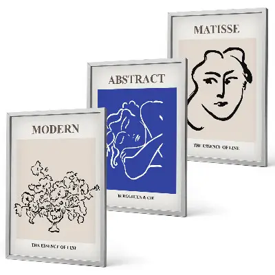 Three-piece modern Matisse wall art set modern poster prints