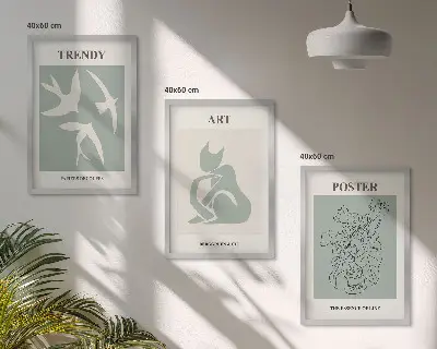 Set of 3 framed wall art pieces stylish Matisse illustrations