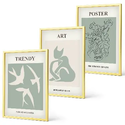 Set of 3 framed wall art pieces stylish Matisse illustrations