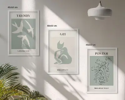 Set of 3 framed wall art pieces Matisse's stylish illustrations