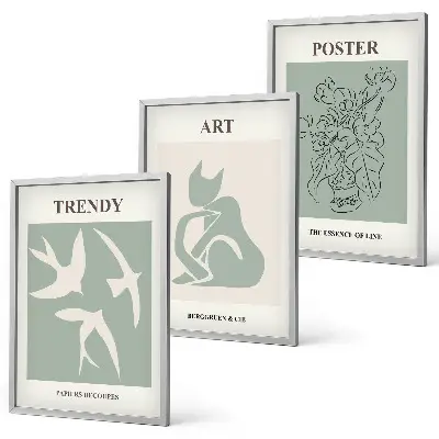 Set of 3 framed wall art pieces stylish Matisse illustrations