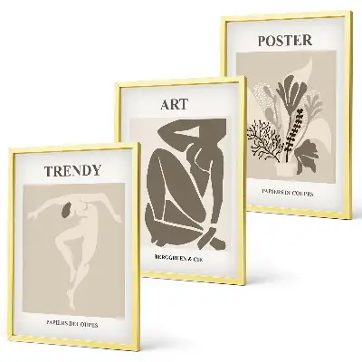 Matisse Plant Figures wall art three-piece set
