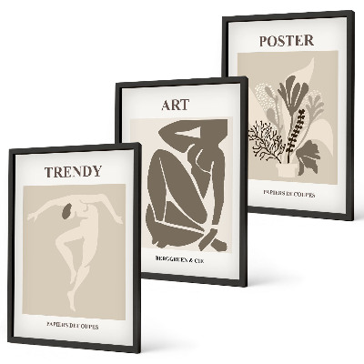Three-piece wall art piece Matisse's Plant Figures