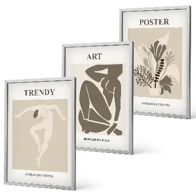 Matisse Plant Figures wall art three-piece set