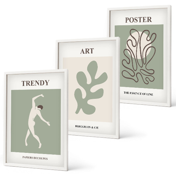 Set of 3 framed wall art pieces Abstract plant figures