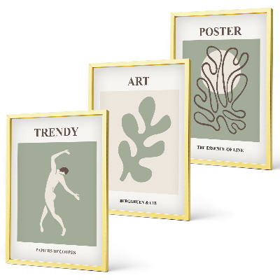 Set of 3 framed wall art pieces Abstract plant figures