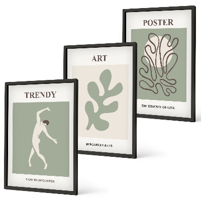 Set of 3 framed wall art pieces Abstract plant figures