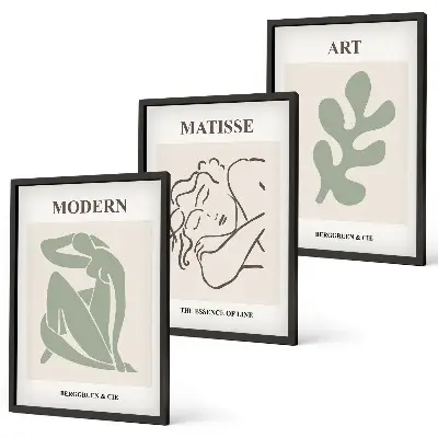 Three-piece wall art set featuring stylish plant characters