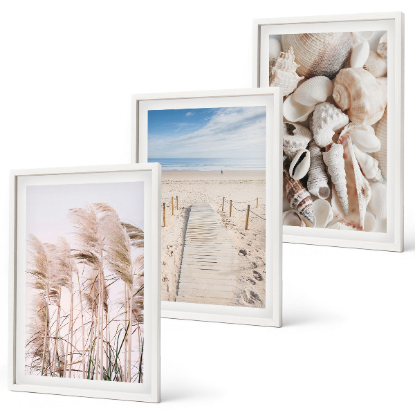 Three-piece wall art piece Beach shells sea grass