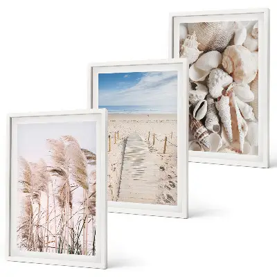 Three-piece wall art set featuring beach shells and sea grass