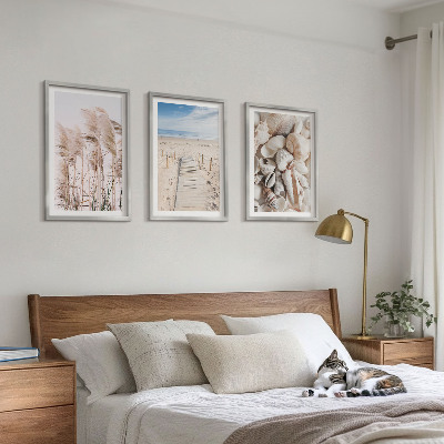 Three-piece wall art piece Beach shells sea grass