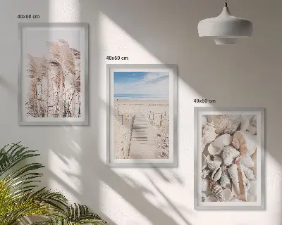 Three-piece wall art set featuring beach shells and sea grass