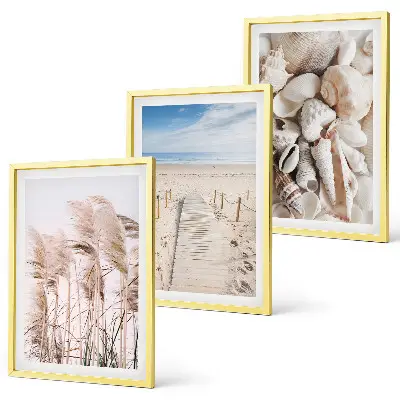 Three-piece wall art set featuring beach shells and sea grass