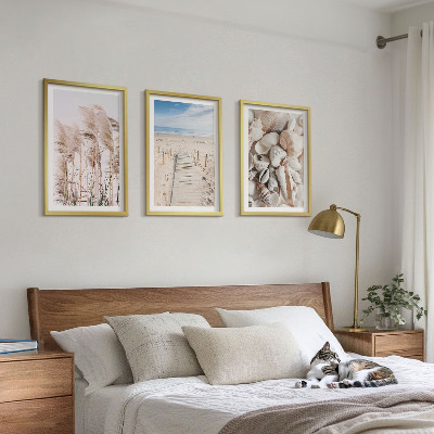 Three-piece wall art piece Beach shells sea grass