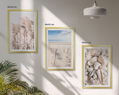 Three-piece wall art piece Beach shells sea grass