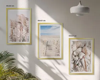 Three-piece wall art set featuring beach shells and sea grass
