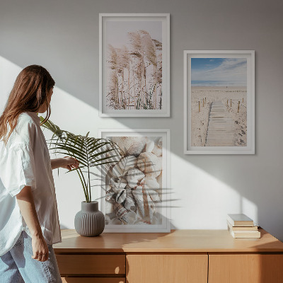 Three-piece wall art piece Beach shells sea grass