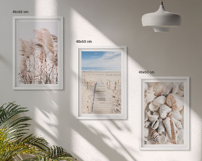 Three-piece wall art piece Beach shells sea grass