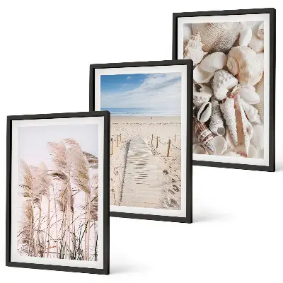 Three-piece wall art set featuring beach shells and sea grass